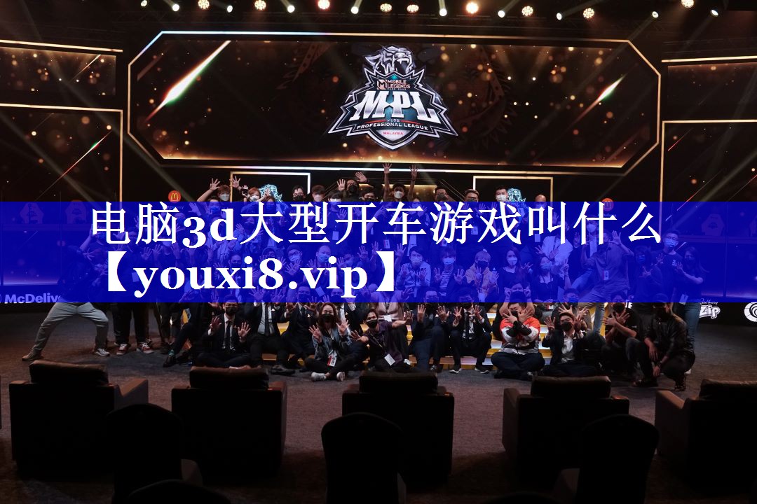 电脑3d大型开车游戏叫什么