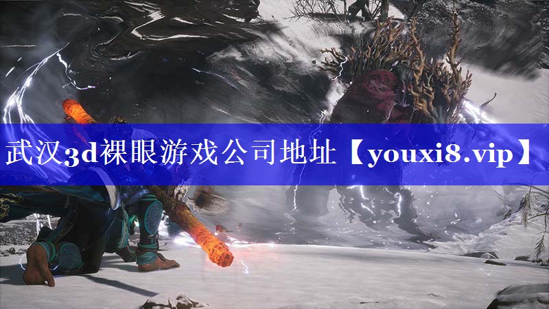 武汉3d裸眼游戏公司地址