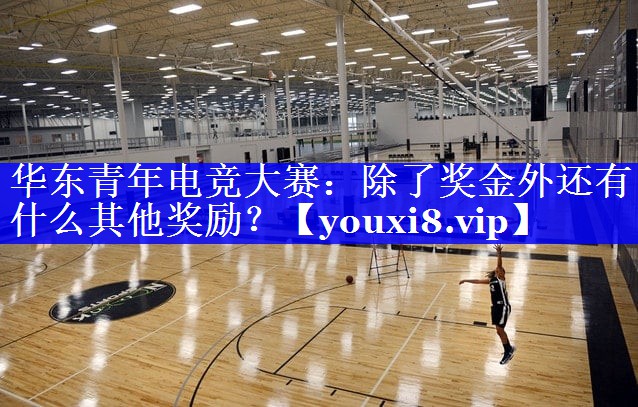 华东青年电竞大赛：除了奖金外还有什么其他奖励？
