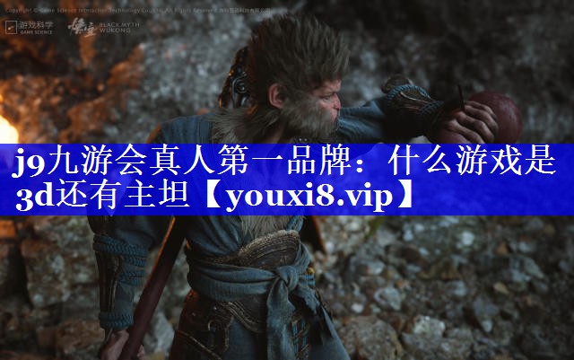 什么游戏是3d还有主坦