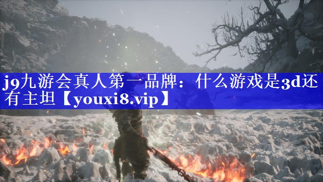 什么游戏是3d还有主坦