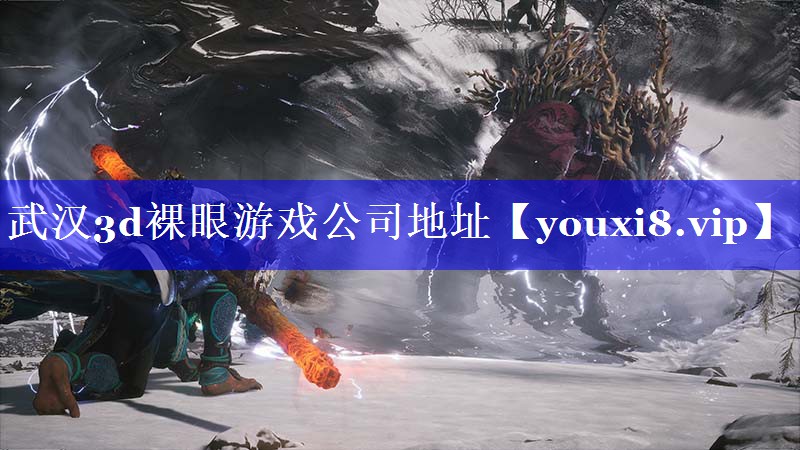 武汉3d裸眼游戏公司地址 武汉3d裸眼游戏公司地址