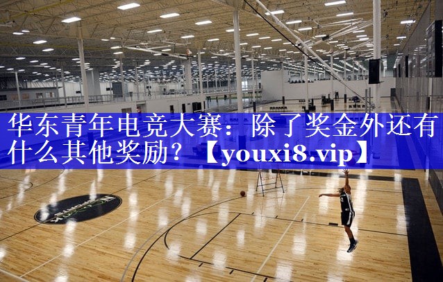 华东青年电竞大赛:除了奖金外还有什么其他奖励? 华东青年电竞大赛:除了奖金外还有什么其他奖励?